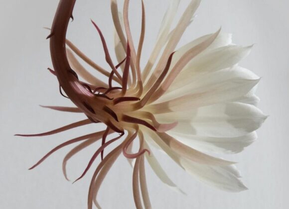 How to Give Your Old Car a New Look image 326