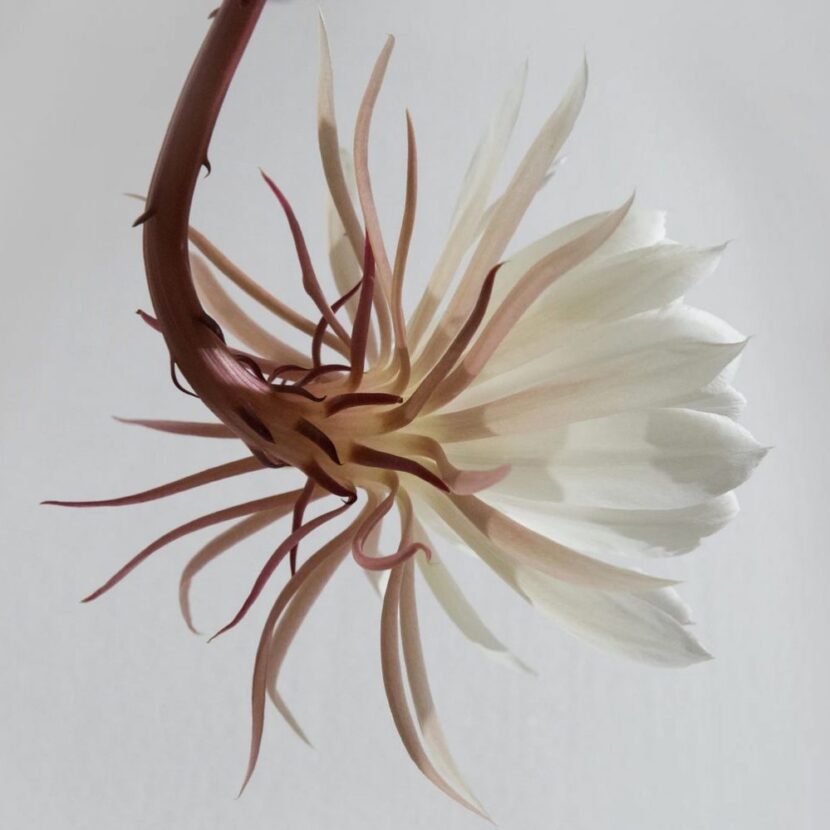 How to Give Your Old Car a New Look image 326