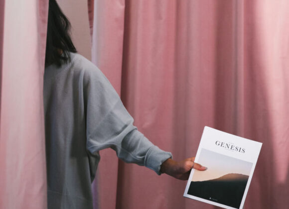 Red squirrels relocated to Highlands woodland image 383