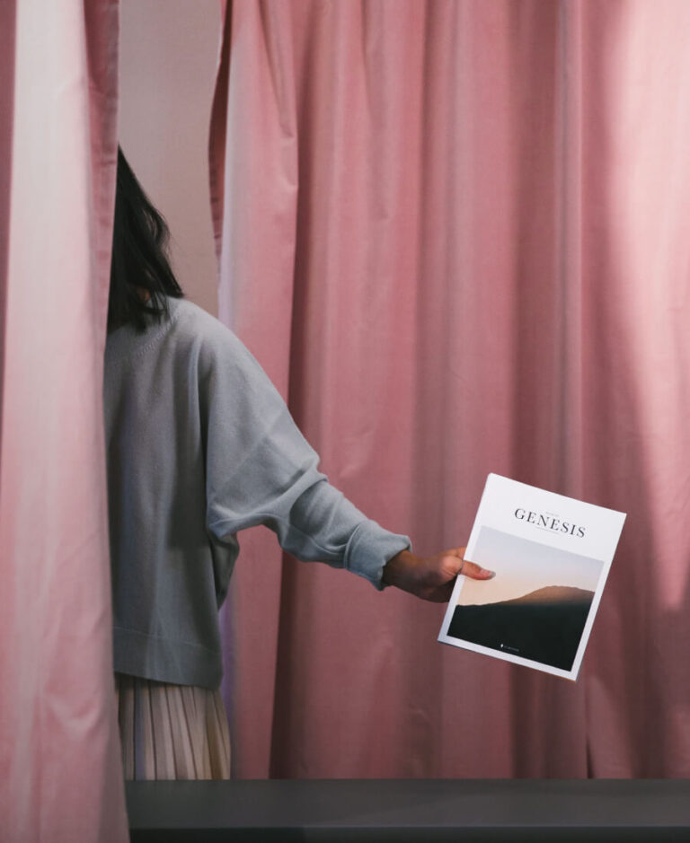 Red squirrels relocated to Highlands woodland image 383