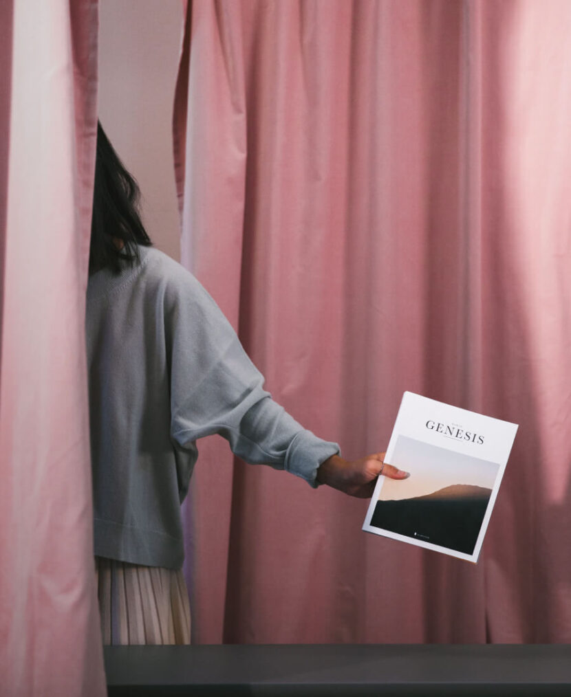 Red squirrels relocated to Highlands woodland image 383