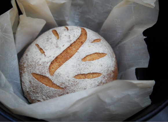 missmushroom-wIm4CDia_1s-unsplash 1