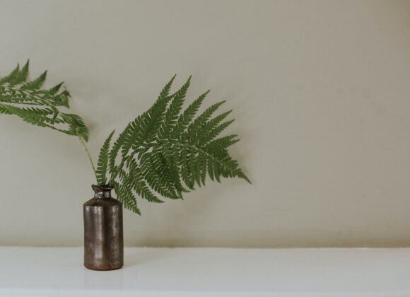 beth-jnr-Y45NsLiqPJA-unsplash