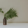 beth-jnr-Y45NsLiqPJA-unsplash
