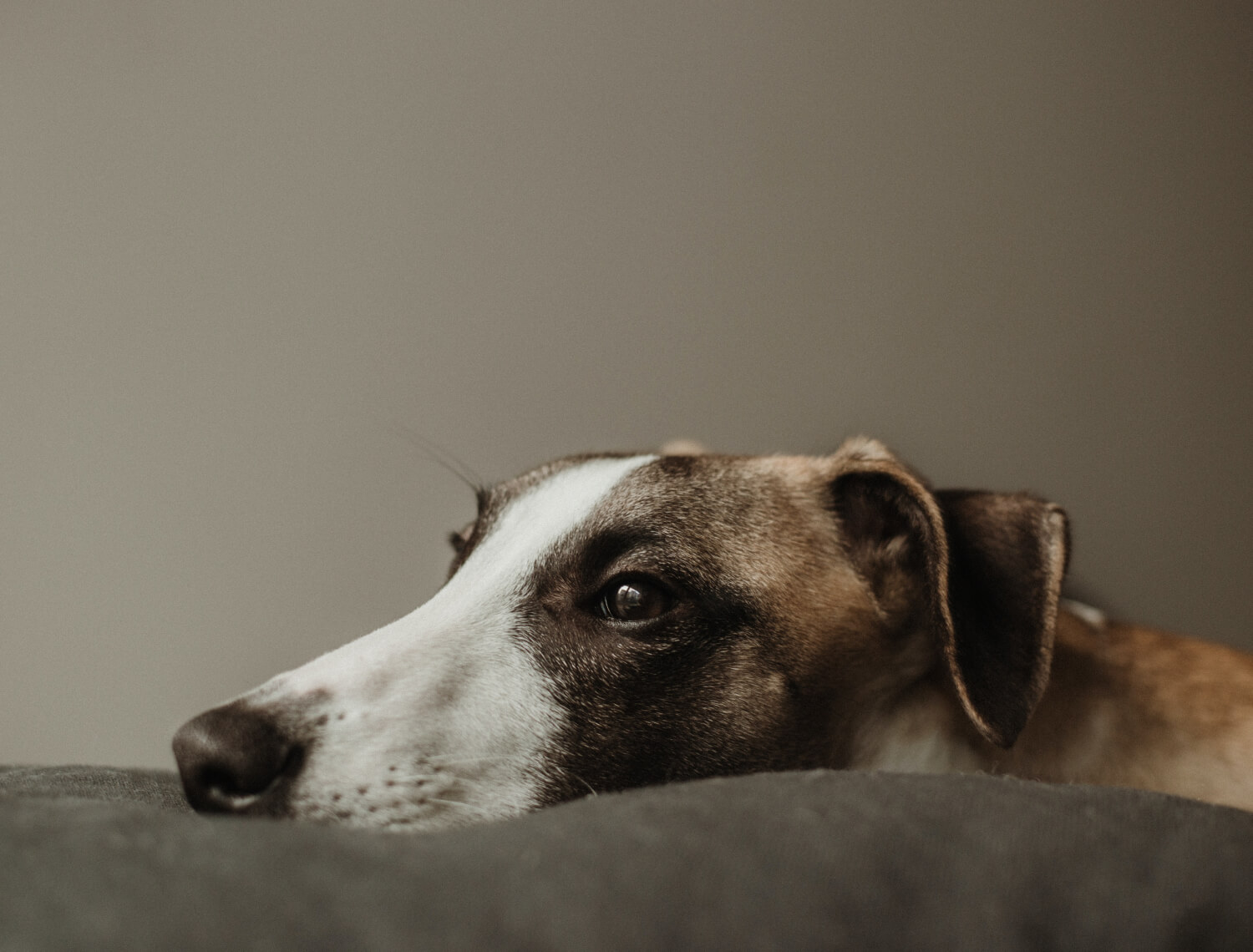 marius-cern-zwLbYhSKj_0-unsplash