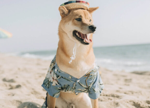 Vegetarian Diet - The Promise to Good Health image 394