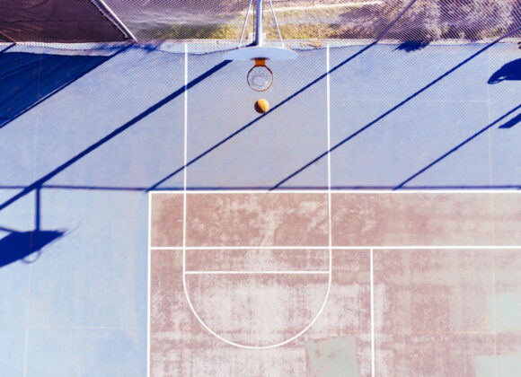 Red squirrels relocated to Highlands woodland image 412