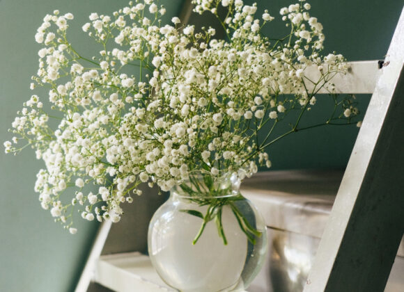 Exploring the Columbia River Gorge image 173