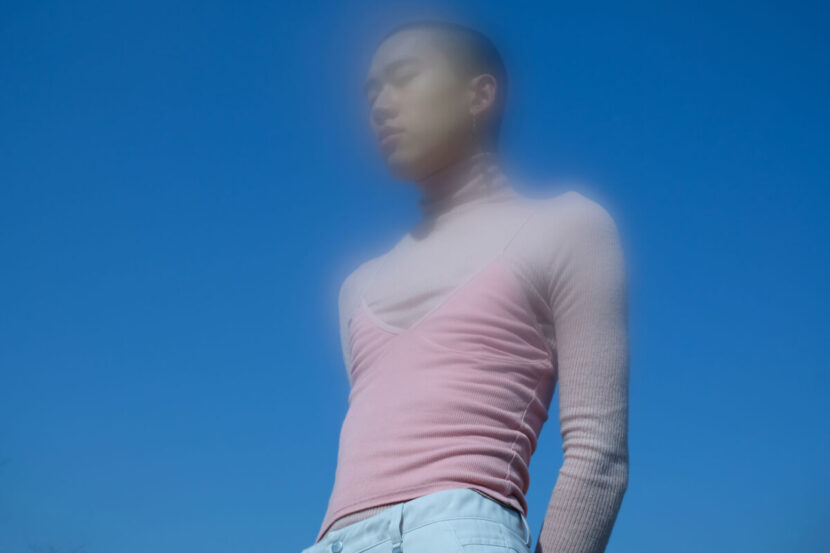 Vegetarian Diet - The Promise to Good Health image 398