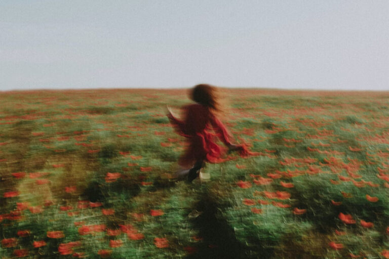 Everything That Is Exotic In New Zealand image 405