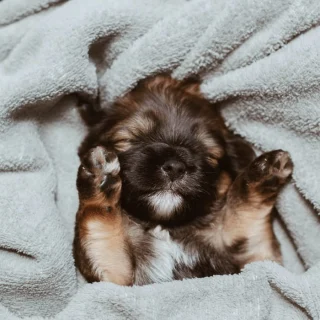Instagram post 17908374809130115
