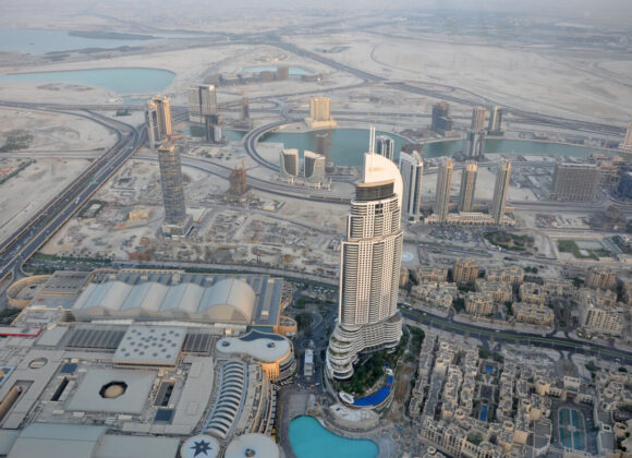 كل ما هو غريب في نيوزيلندا image 39