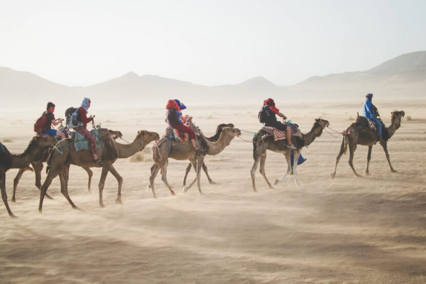 النظام الغذائي النباتي - الوعد بصحة جيدة image 40