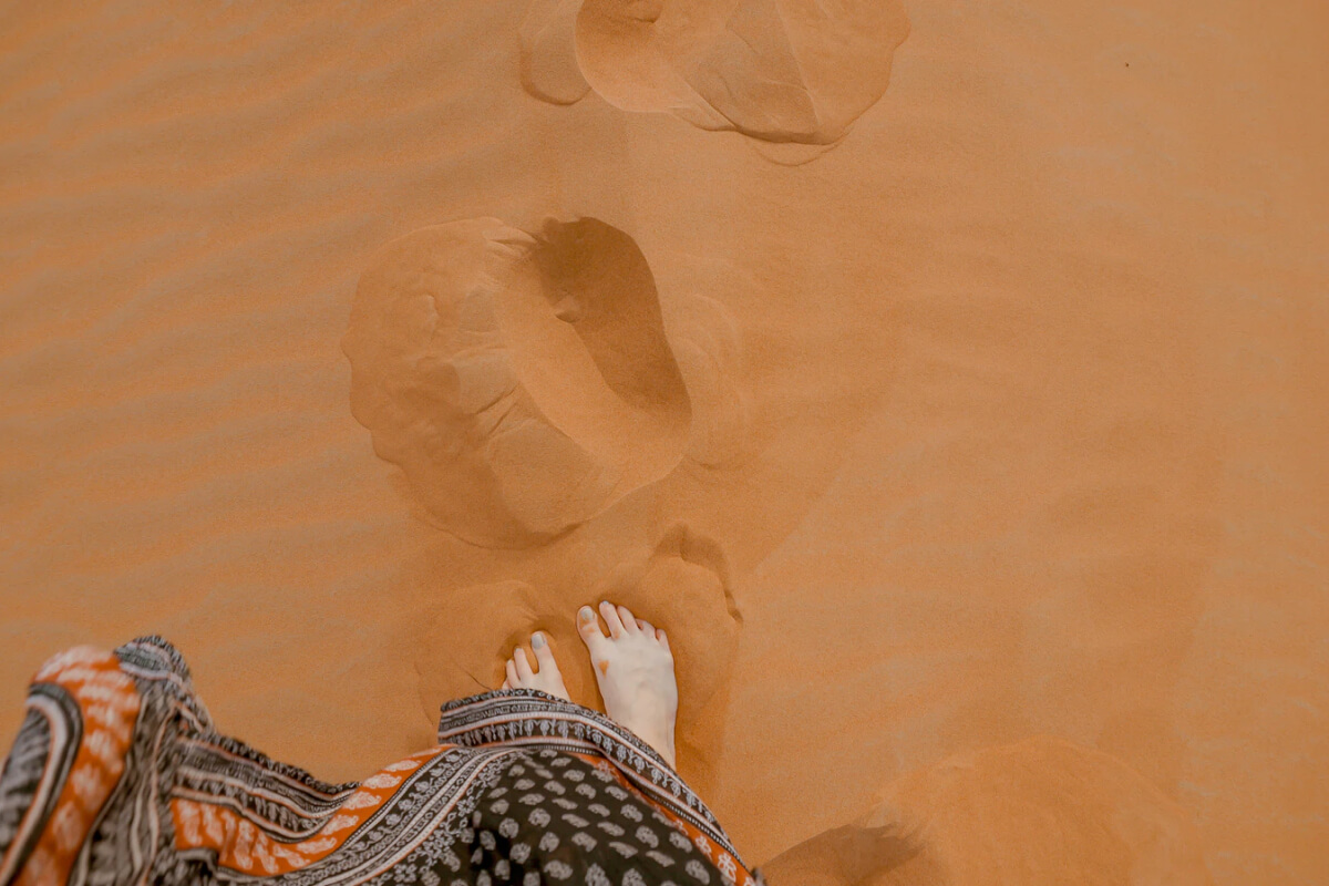 السناجب الحمراء تنتقل إلى غابات المرتفعات image 41