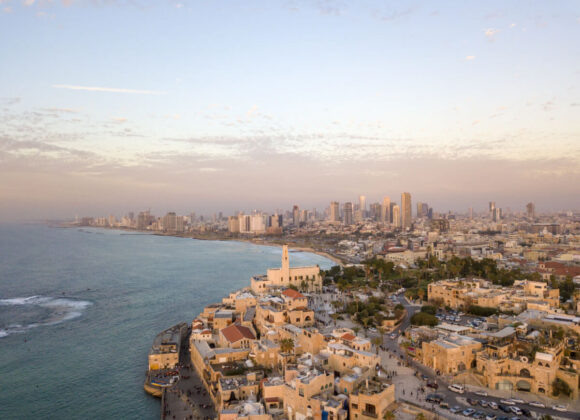 السناجب الحمراء تنتقل إلى غابات المرتفعات image 42