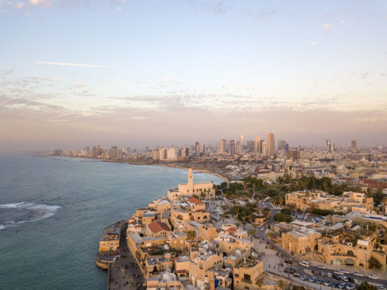 السناجب الحمراء تنتقل إلى غابات المرتفعات image 42